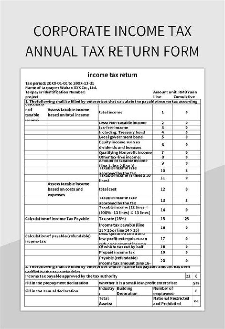 Can I get a loan on my income tax return?