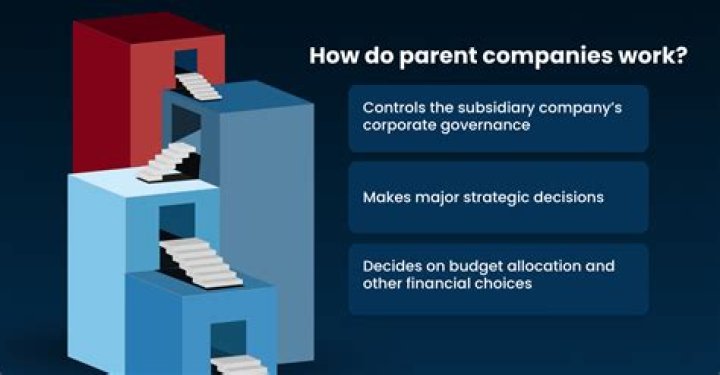 How does a parent company work?