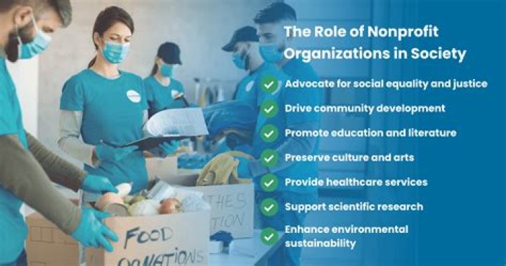 How is a non profit organization set up?